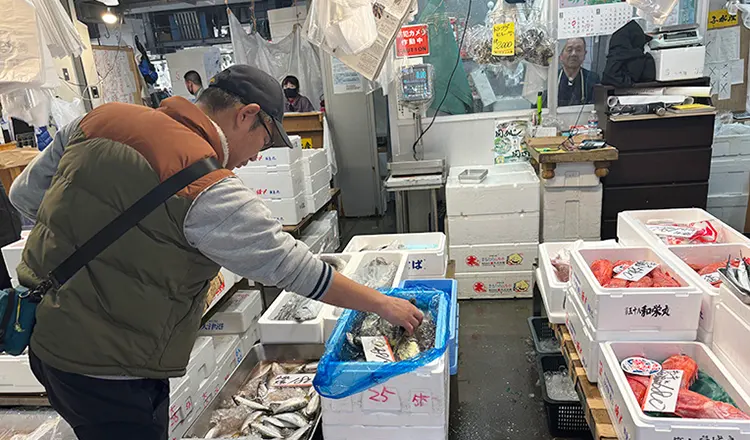 Toyosu Market with Expert