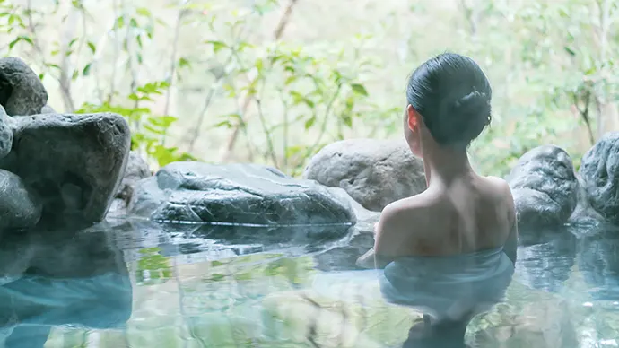 Mt.Fuji and Hakone Tour