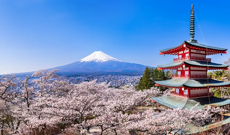 Mt.Fuji from Arakurayama Sengen Park
