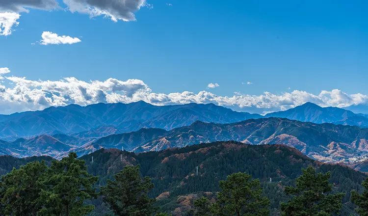 View From Mt.Takao