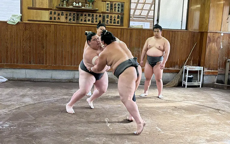 Arrive at the sumo stable in a private car.