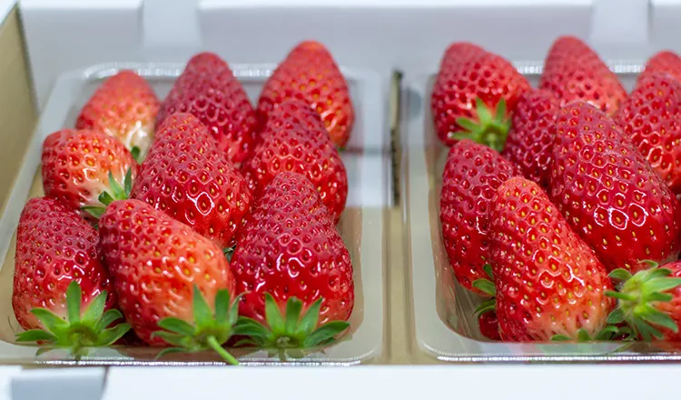 Sweet Strawberries
