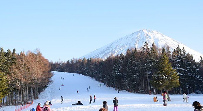 Snow Fun Near Mt. Fuji, Ski, Snowboard and Snow Play