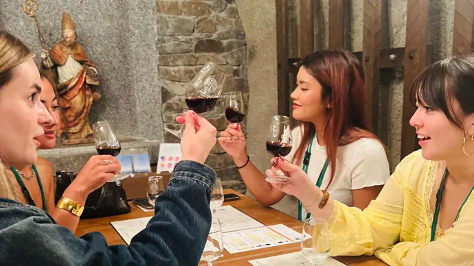 Yamanashi Wine Tasting Tour with English Speaking Guide