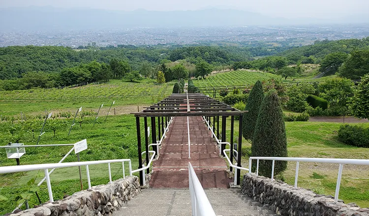 Maruki Winery