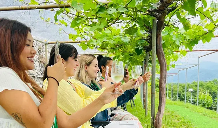 Outech's Yamanashi Wine Tasting Tour