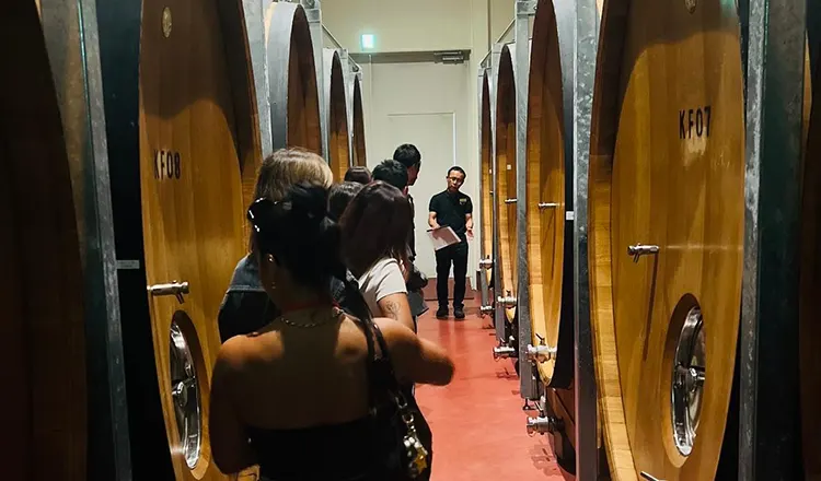 Yamanashi Wine Tasting Tour