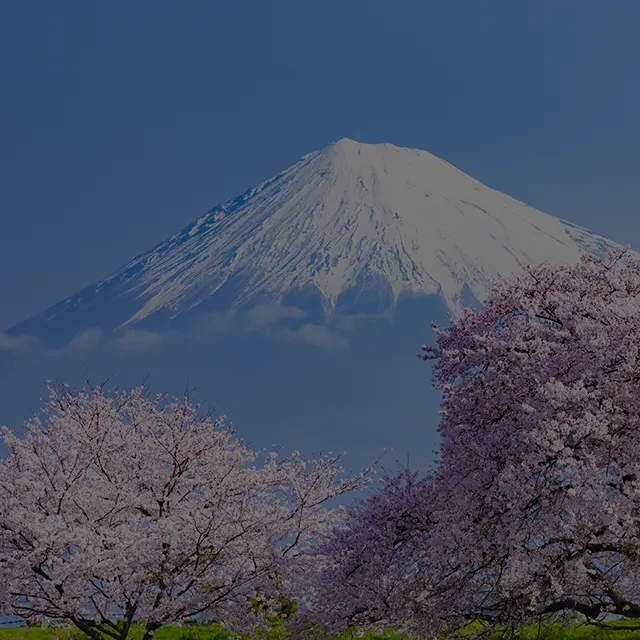 Tokyo & Mt.Fuji Private Transfer